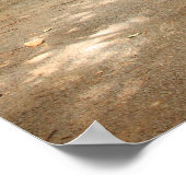 Mysterious Forest Path Poster (Hoek)