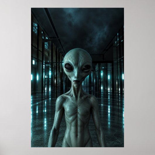 Mysterious Grey Alien Poster (Voorkant)