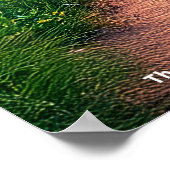 Mysterious Houses of Donnelly - No4 Mombasa Kenya Poster (Hoek)