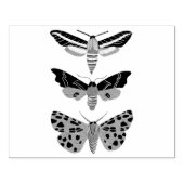 Mysterious Magical Moths Trio Hand getekend Rubberstempel (Afrduk)