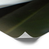 Mysterious Magnolia Poster (Hoek)
