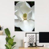 Mysterious Magnolia Poster (Thuiskantoor)