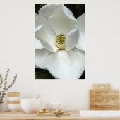 Mysterious Magnolia Poster (Keuken)
