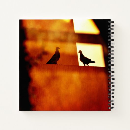 Mysterious Meeting Notitieboek (Achterkant)