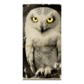 Mysterious Owl Newspaper Print -  folklore Perfect Poster (Voorkant)