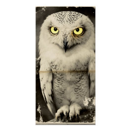 Mysterious Owl Newspaper Print - folklore Perfect Poster