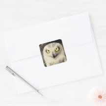 Mysterious Owl Newspaper Print - folklore