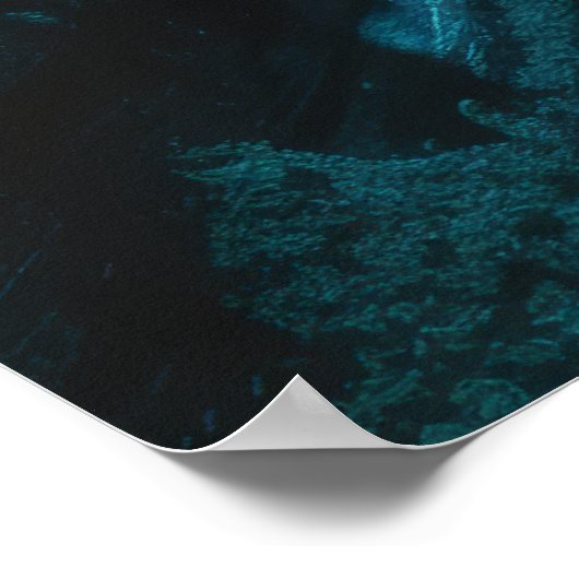 Mysterious Shipwreck Exploration Poster (Hoek)