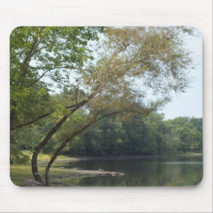 Mysterious Wood Muismat