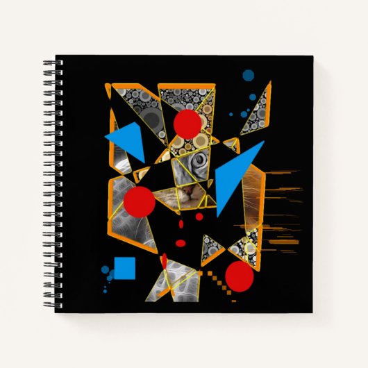 Mystery Cat Notitieboek (Voorkant)