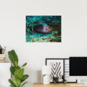 Mystery Fish Poster (Thuiskantoor)