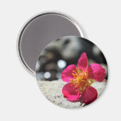 Mystery roze ventilator magneet (Voorkant / Achterkant)