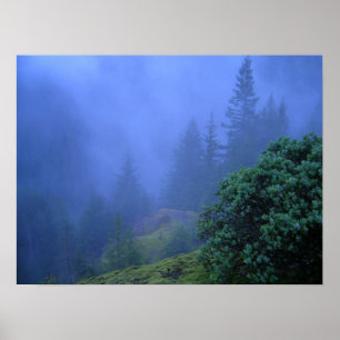 Mystery Trees Poster