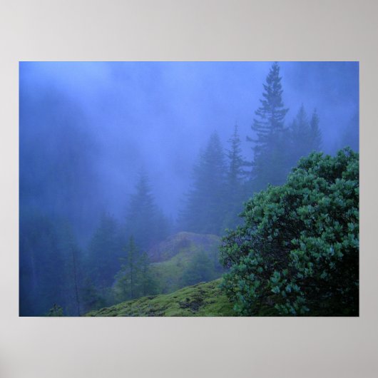 Mystery Trees Poster (Voorkant)