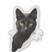 Mystery zwarte kat met scherpe ogen sticker (Voorkant)