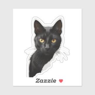 Mystery zwarte kat met scherpe ogen sticker