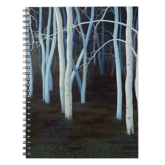 Mystic 2004 notitieboek (Voorkant)