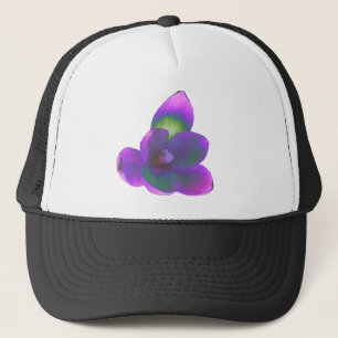 Mystic Beauty Crocus Flower Pet