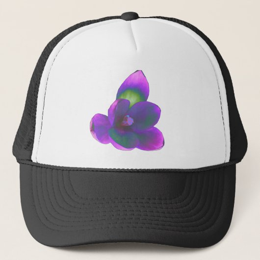 Mystic Beauty Crocus Flower Pet (Voorkant)