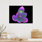 Mystic Beauty Crocus Flower Print (Keuken)