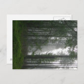 Mystic Bossen Briefkaart (Voorkant / Achterkant)