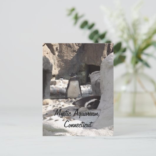 Mystic Briefkaart (Staand voorkant)