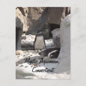 Mystic Briefkaart (Voorkant)