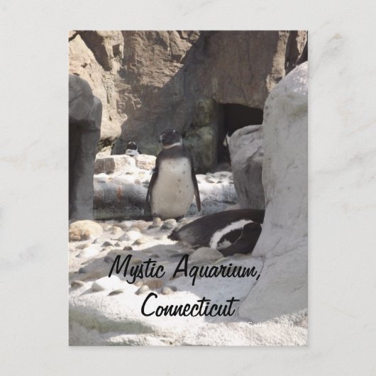 Mystic Briefkaart (Voorkant)