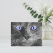 Mystic Cat Briefkaart (Staand voorkant)