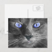 Mystic Cat Briefkaart (Voorkant / Achterkant)