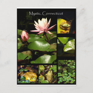 Mystic, Connecticut Briefkaart