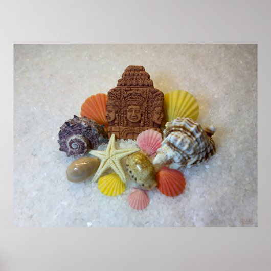 Mystic Energy Seashells and Starfish Poster (Voorkant)