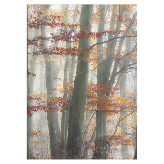 Mystic Foggy Forest in het najaar Tafelkleed (Voorkant)