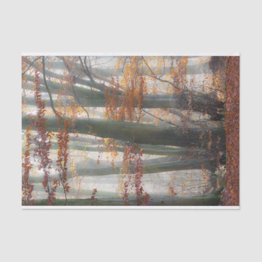 Mystic Foggy Forest in het najaar Tissuepapier (Voorkant)