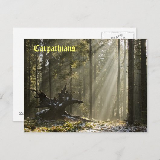 Mystic forest briefkaart (Voorkant / Achterkant)