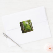 Mystic Forset Vierkante Sticker (Envelop)