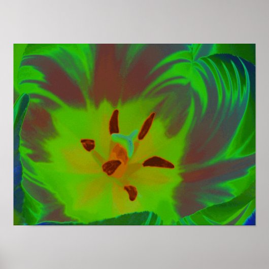 Mystic Green Tulip Poster (Voorkant)