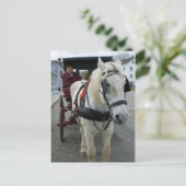 Mystic Horse Briefkaarten (Staand voorkant)
