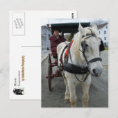 Mystic Horse Briefkaarten (Voorkant / Achterkant)