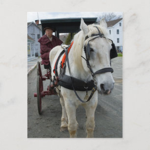 Mystic Horse Briefkaarten