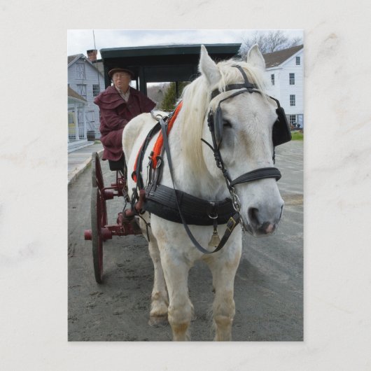 Mystic Horse Briefkaarten (Voorkant)