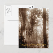 Mystic Morning CN1 - postcard Briefkaart (Voorkant / Achterkant)