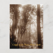 Mystic Morning CN1 - postcard Briefkaart (Voorkant)