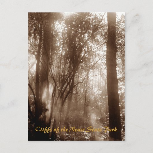 Mystic Morning CN1 - postcard Briefkaart (Voorkant)