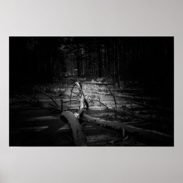 Mystic Night Forest – Moody Nature Landscape Poster