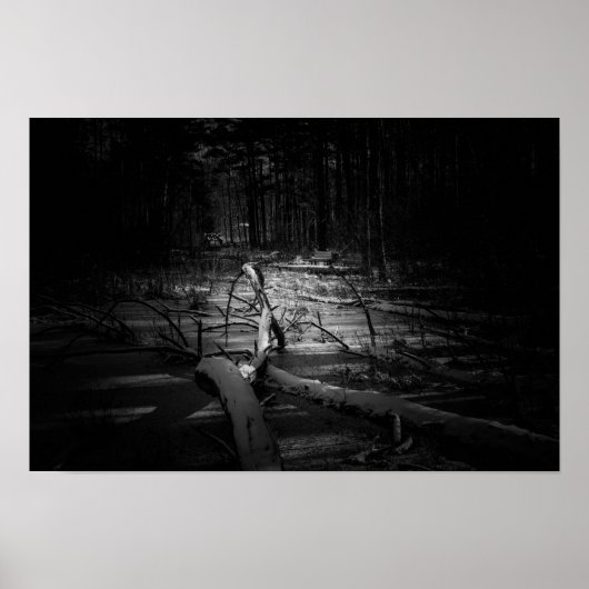 Mystic Night Forest – Moody Nature Landscape Poster (Voorkant)