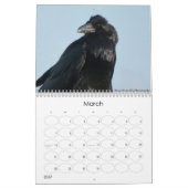 Mystic Raven 2013 Calendar Kalender (Mar 2027)