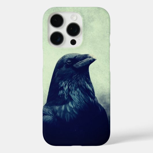 Mystic Raven Aesthetic Graphic iPhone 16 Pro Case (Achterkant)
