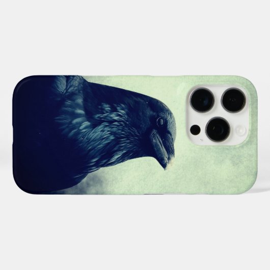 Mystic Raven Aesthetic Graphic iPhone 16 Pro Case (Achterkant (horizontaal))