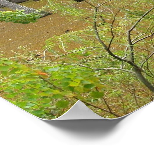 Mystic Swamp Poster (Hoek)